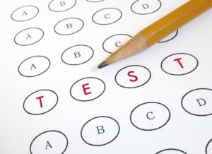 naplan test results